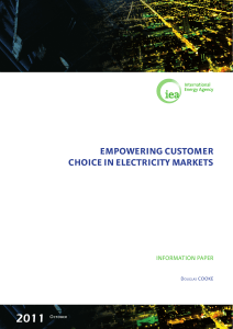 Empowering Customer Choice in Electricity Markets