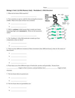 DNA Structure Worksheet