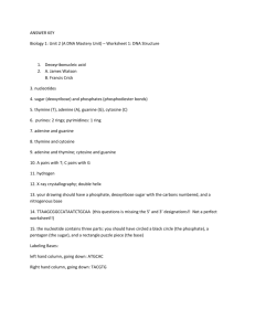 ANSWER KEY Biology 1: Unit 2 (A DNA Mastery Unit) – Worksheet