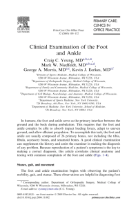 Clinical Examination of the Foot and Ankle