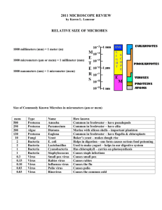 2011 MICROSCOPE REVIEW RELATIVE SIZE OF MICROBES