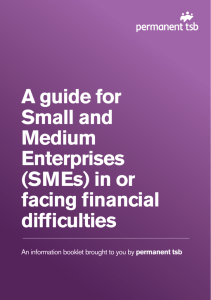 Guide for Small to Medium Enterprises facing