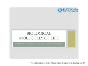 biological molecules of life