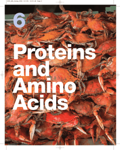 Proteins And Amino Acids