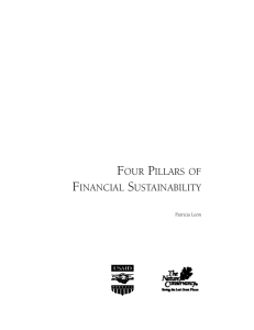 four pillars of financial sustainability