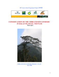 Threatened conifers project_Vietnam_final report