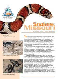 Snakes of Missouri