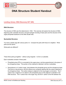 DNA Structure Student Handout