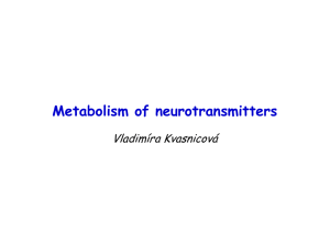 Metabolism of neurotransmitters