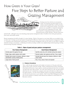 Five Steps to Better Pasture and Grazing Management