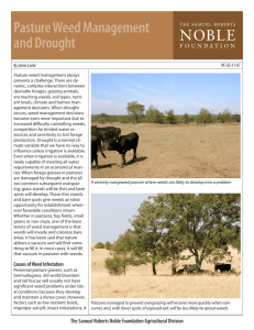 Pasture Weed Management and Drought