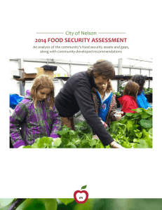 2014 food security assessment