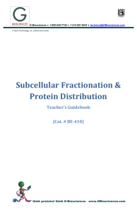 Subcellular Fractionation & Protein Distribution - G
