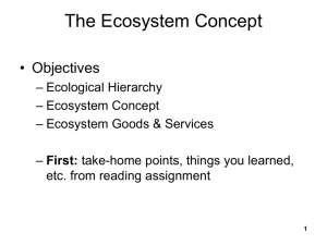 The Ecosystem Concept