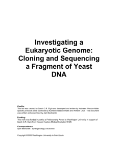 Investigating a Eukaryotic Genome: Cloning and Sequencing a