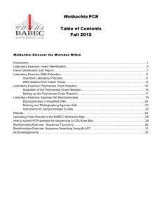 Wolbachia PCR - Bay Area Biotechnology Education Consortium
