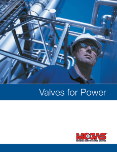 Power Industry Brochure - Severe Service Specialists