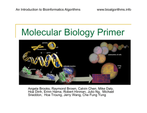 Molecular Biology Primer