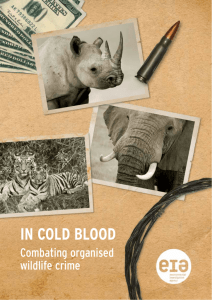 In Cold Blood - Environmental Investigation Agency