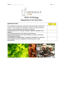 WJEC AS Biology Adaptations for Nutrition