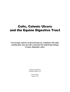 Colic, Colonic Ulcers and the Equine Digestive Tract