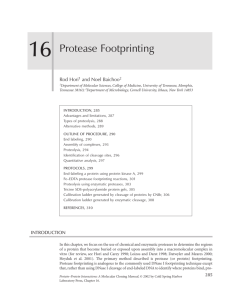 Chapter 16: Protease Footprinting