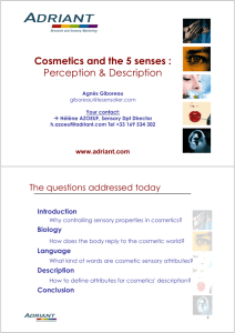 Cosmetics and the 5 senses : Perception & Description