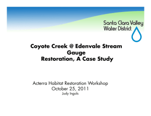 Coyote Creek Restoration, A Case Study