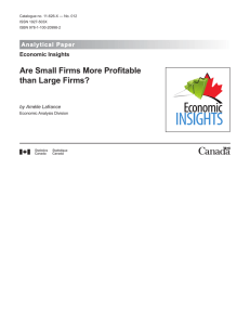 Are Small Firms More Profitable than Large Firms?