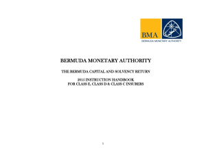 2015 Long-Term Business Capital and Solvency Return Instructions