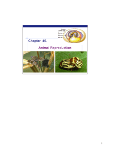 Ch 46 Animal Reproduction