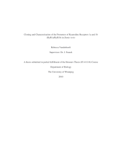 PDF full text - The University of Winnipeg