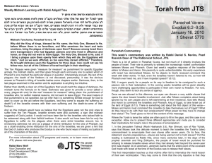 Torah from JTS Va
