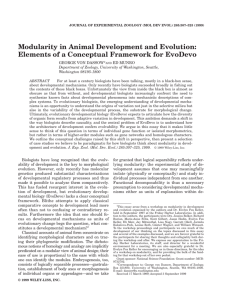 Modularity in Animal Development and Evolution