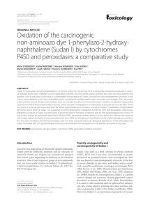 Oxidation of the carcinogenic non-aminoazo dye 1-phenylazo