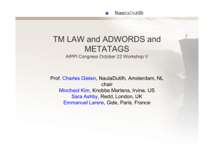 TM LAW and ADWORDS and METATAGS