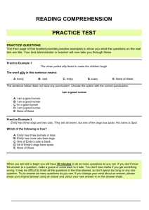 Reading Comprehension practice test