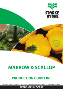 Marrow and Scallop Production Guideline 2015