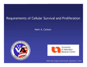 Requirements of Cellular Survival and Proliferation