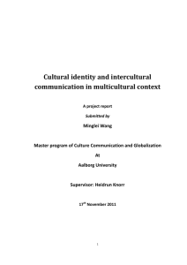 Cultural identity and intercultural communication in multicultural