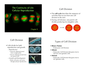 The Continuity of Life: Cellular Reproduction Cell Division Cell