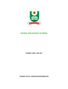 lower invertebrates - National Open University of Nigeria