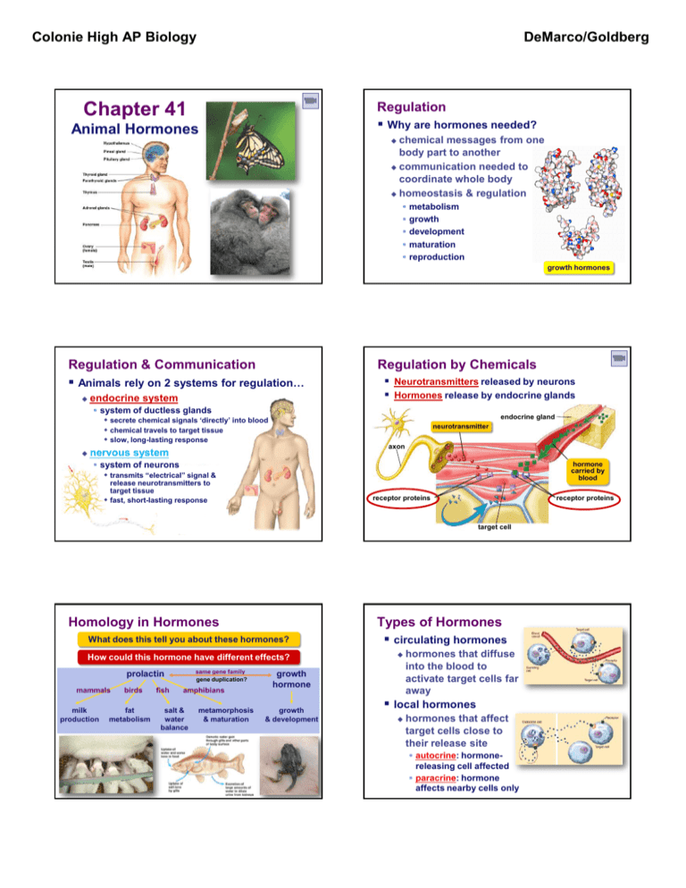 Lecture 046 Animal Hormones