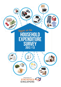 STATISTICS SINGAPORE - Report on the Household Expenditure