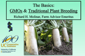 The Basics: GMOs & Traditional Plant Breeding