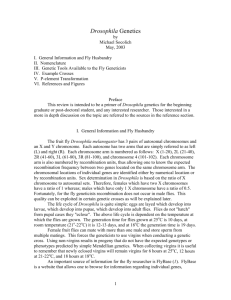 Drosophila Genetics - UCSF Biochemistry & Biophysics