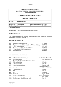 Western Blotting - University of Leicester