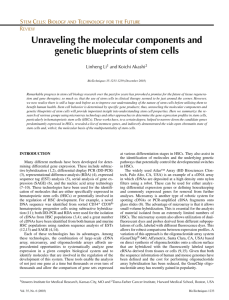 Unraveling the molecular components and genetic blueprints of