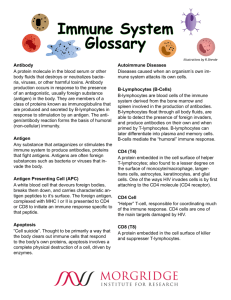 Immune System Glossary.indd