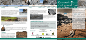 Geology and Fossils of the Quantock Hills and Coast